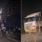 Kasih Sayang Ibu Gajah, Menangisi Jasad Anaknya yang Tak Bernyawa Tertabrak Truk