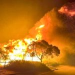 Israel Terima Hukuman Tuhan! Video Kebakaran Hutan Makin Meluas, Disusul Badai Pasir