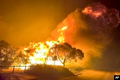 Israel Terima Hukuman Tuhan! Video Kebakaran Hutan Makin Meluas, Disusul Badai Pasir