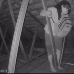 Video CCTV Pencurian di Toko Perhiasan Perak Seminyak, Kerugian Capai Rp422,5 Juta