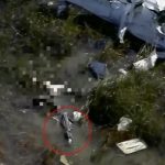 Video Detik-Detik Pesawat Jatuh di Rawa Penuh Buaya, 5 Orang Selamat usai Bertahan 36 Jam
