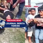 Video Dua Pelajar SD Men!nggal Tenggelam di Sungai Seruai Biru-Biru, Deli Serdang