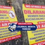 Bikin Kontroversi! Video Viral Spanduk Larangan Beri Makan Kucing Liar