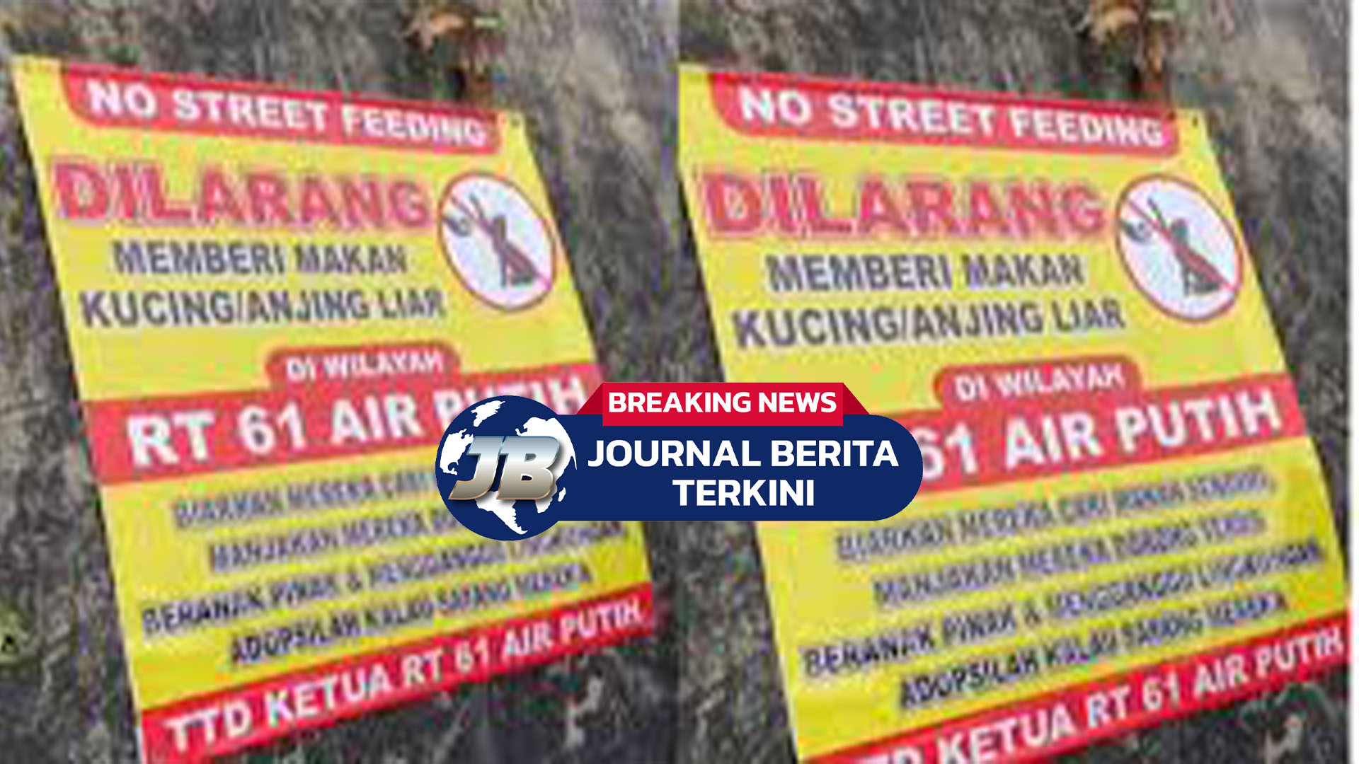 Bikin Kontroversi! Video Viral Spanduk Larangan Beri Makan Kucing Liar