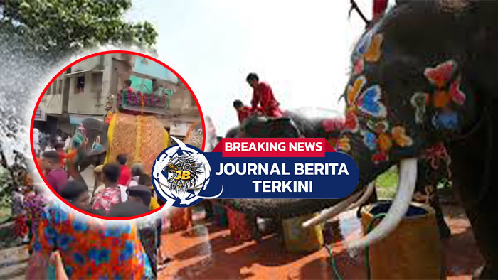 Video Detik-detik Gajah Ngamuk, Serang Pawang dan Injak Kerumunan di Festival Rath Yatra