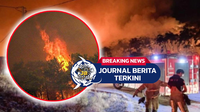 Video Kebakaran Hutan Landa Turki, Sudah 2 Hari Api Tak Kunjung Padam