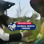 Viral Petani Jagung di Brebes Emosi Pengendara Motor Trail Terobos Ladang