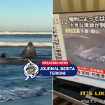 [VIDEO] 4 Ekor Paus Terdampar di Hirasuna Chiba, Jepang, Akibat Tsunami