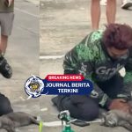 [VIDEO] Aksi Driver Ojol Lakukan Pompa Jantung Selamatkan Kucing Korban Kebakaran, Tuai Pujian Netizen!
