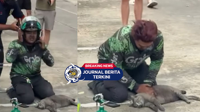 [VIDEO] Aksi Driver Ojol Lakukan Pompa Jantung Selamatkan Kucing Korban Kebakaran, Tuai Pujian Netizen!