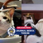 [VIDEO] Bobby Kertanegara Dikawal Ketat, Wanmensesneg: Properti Presiden di Jaga Negara