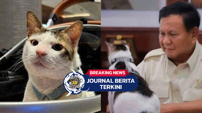[VIDEO] Bobby Kertanegara Dikawal Ketat, Wanmensesneg: Properti Presiden di Jaga Negara