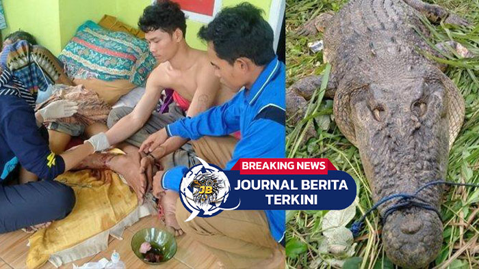 [VIDEO] Detik-detik Pria Ini Hampir Digigit Buaya saat Mancing, Deg-degannya Nembus Layar!