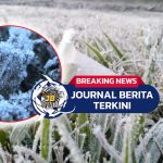 [VIDEO] Embun Es Selimuti Kawasan Padang Savana di TN Bromo, Suhu Capai 5 Derajat Celcius