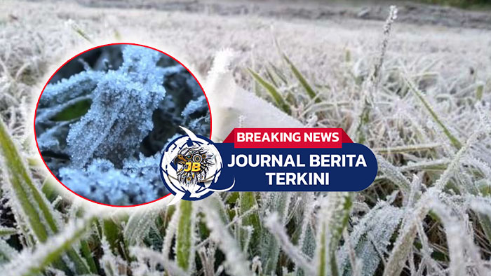 [VIDEO] Embun Es Selimuti Kawasan Padang Savana di TN Bromo, Suhu Capai 5 Derajat Celcius
