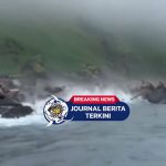 [VIDEO] Gempa! Singa Laut di Russia Nyebur ke Laut Akibat Gempa Dahsyat