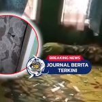 [VIDEO] Ormas di Bandung Rusak Rumah Warga Gara-gara Tak Diberi Jatah, Lapor Polisi, Katanya ODGJ
