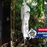 [VIDEO] Polsek Bengkulu Copot dan Cari Pemasang Pocong yang Sengaja Buat Takuti Warga!