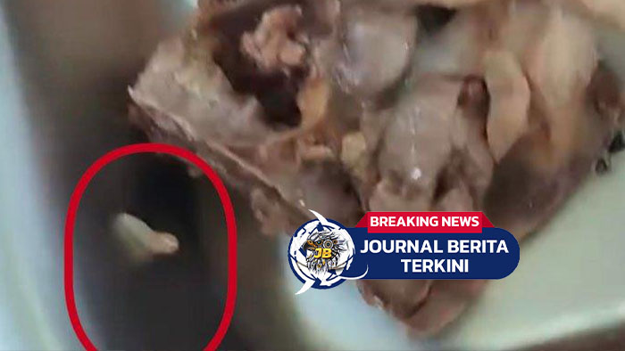 [VIDEO] Viral Belatung di Menu MBG Tuban, BGN: Dapurnya Masih Baru!