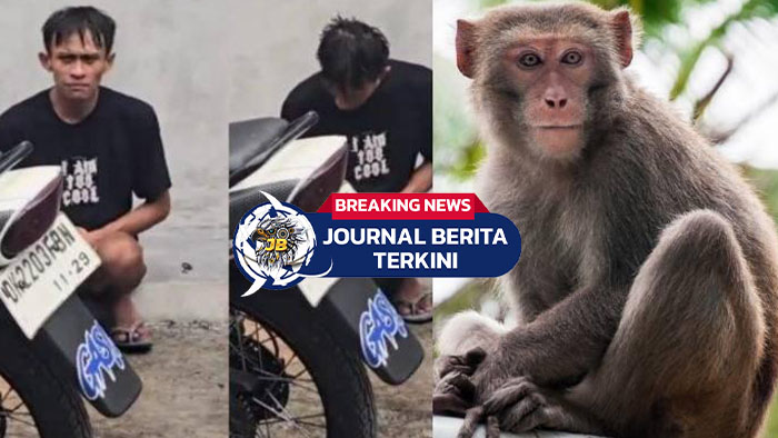 [VIDEO] Viral Pria Ini Berperilaku Aneh Usai Diduga Lempar Monyet di Monkey Forest Ubud