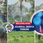 Video Kawanan Gajah Masuk Permukiman Warga Lampung, Diusir dengan Kembang Api