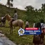 [VIDEO] Beda dari yang Lain! Dua Siswa Asal Sumba Timur Ini Berangkat ke Sekolah dengan Menunggangi Kuda