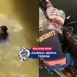 [VIDEO] Detik detik Petugas Damkar Selamatkan Wanita Nyaris Tenggelam