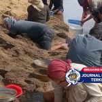 [VIDEO] Sungai Eufrat Mengering, Warga Suriah Berbondong-bondong Ambil Emas