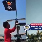 [VIDEO] Viral! Pohon Pinang Ditebang Gegara Bendera One Piece Berkibar Di Bawah Bendera Merah Putih