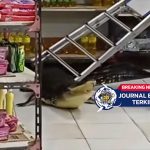 [VIDEO] Warga di Maluku Utara Dihebohkan Buaya Besar yang Masuk Minimarket