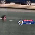 [VIDEO] Bikin Heboh Warga! Wanita Berendam di Kolam Bundaran Patung Kuda Monas