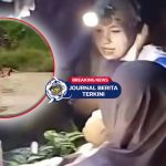 [VIDEO] Heboh Ibu Muda Nekat Terobos Sungai Meluap di Polman demi Susul Bayi di Rumah