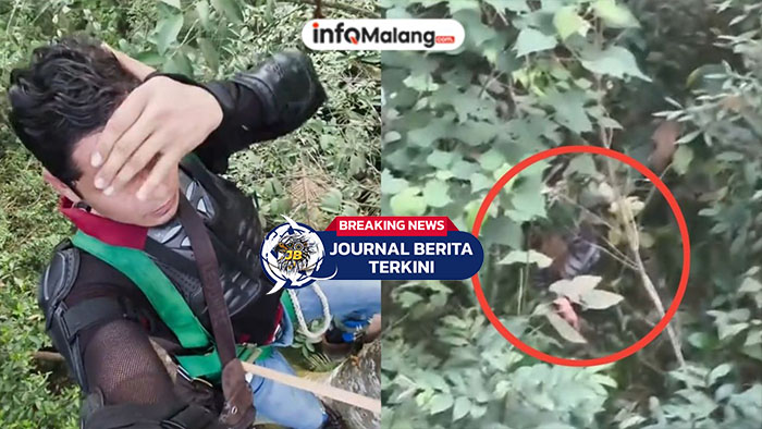 [VIDEO] Mengerikan! Pria Malaysia Bertahan 4 Jam di Atas Pohon Saat Dikepung Harimau