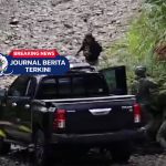 [VIDEO] Momen Tegang! Tembak-menembak Elite Polisi Vs KKB Saat Selamatkan Korban Sipil