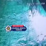 [VIDEO] Tambang Bawah Tanah PT Freeport di Mimika Longsor, 7 Pekerja Terjebak