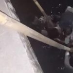[VIDEO] Balita 3 Tahun Hampir Tenggelam di Anjungan Mandar Pantai Losari