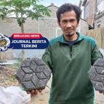 [VIDEO] Belum Dilirik Pemerintah! Inovasi Paving Block dari Sampah Plastik Karya Warga Seorang warga Padalarang, Kabupaten Bandung Barat, Toni Permana (46), merasa kecewa karena inovasinya mengolah sampah plastik menjadi paving block tidak mendapat perhatian dari pemerintah. Toni menjelaskan, paving block buatannya terbuat dari sampah plastik yang dilelehkan lalu dicetak berbentuk segi enam. Paving ini lebih ringan, kuat, dan tahan lama dibanding paving semen. Bahkan, produk tersebut telah tersertifikasi ITB serta lolos uji bakar, uji tekan, uji polutan, dan uji abrasi. Namun tanpa dukungan pemerintah, ia kesulitan memperluas produksi dan pemasaran. Ia menilai, inovasi ini tak hanya bisa mengurangi sampah plastik, tetapi juga membuka peluang usaha ramah lingkungan bagi masyarakat. #kejadianhariini #jàngkauanluas #beranda #viralindonesia #peristiwaterkini #indonesia #viral #kejadian #peristiwa #PavingBlock #BandungBarat #Padalarang