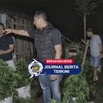 [VIDEO] Bertani Ganja di Kontrakan! Pasutri Asal Belanda-Rusia Diciduk Polisi