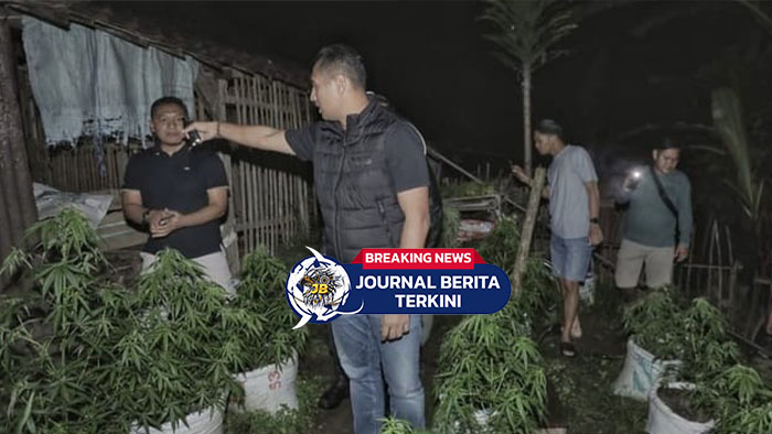 [VIDEO] Bertani Ganja di Kontrakan! Pasutri Asal Belanda-Rusia Diciduk Polisi