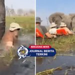 [VIDEO] Menegangkan! Detik-detik Mencekam Turis Asyik Safari Naik Kano di Rawa-rawa Kena Amuk Gajah Liar