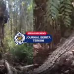 [VIDEO] Pria Ini Ngakak Saat Temannya Dalam Bahaya Karena Ada Buaya