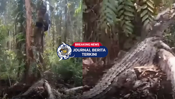 [VIDEO] Pria Ini Ngakak Saat Temannya Dalam Bahaya Karena Ada Buaya