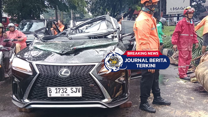 [VIDEO] Tragedi di Pondok Indah! Mobil Lexus Tertimpa Pohon Tumbang, Pengemudi Tewas di Tempat