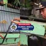 [VIDEO] Viral Lurah Perintis Kecamatan Medan Timur Didorong Warga ke Parit saat Bongkar Polisi Tidur Ilegal