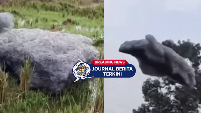 [VIDEO] Warga Subang Heboh! Busa Hitam Misterius Mendarat di Sawah dan Permukiman