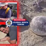 [VIDEO] Wow! Ahli Paleontologi Argentina Teliti Fosil Telur Diduga Milik Dinosaurus
