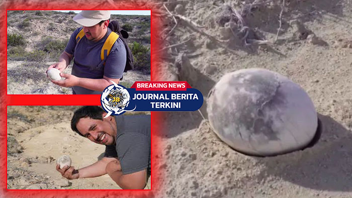 [VIDEO] Wow! Ahli Paleontologi Argentina Teliti Fosil Telur Diduga Milik Dinosaurus