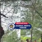 [VIDEO] Mabok! Viral Pria Memanjat Pohon dan Tertidur, Warga Kebumen Turun Tangan
