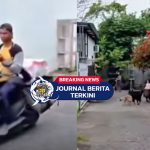 [VIDEO] Situasi Tak Terduga! Anjing Mengejar Kurir, Pemilik Diingatkan Warga