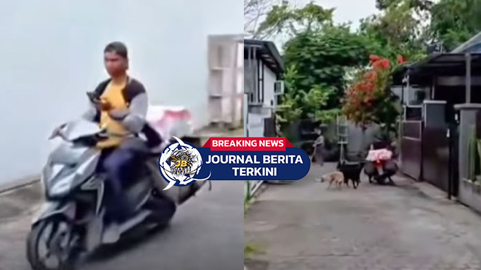 [VIDEO] Situasi Tak Terduga! Anjing Mengejar Kurir, Pemilik Diingatkan Warga